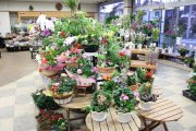 「栗本生花店」　（岐阜県高山市）の花屋店舗写真3